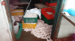 被胡乱花正在从食材到成品的各个环节